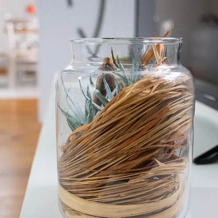 Infinity Boutique 公寓 班斯科