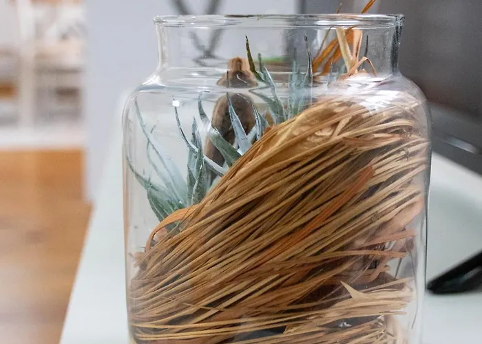 Infinity Boutique Daire Bansko