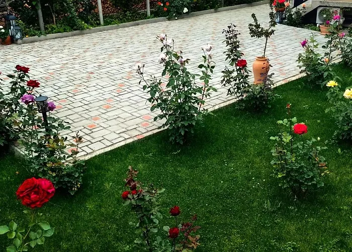 Daire Infinity Boutique