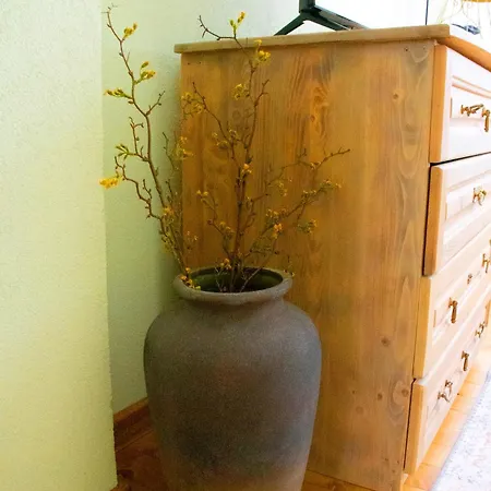 Infinity Boutique Apartamento Bansko