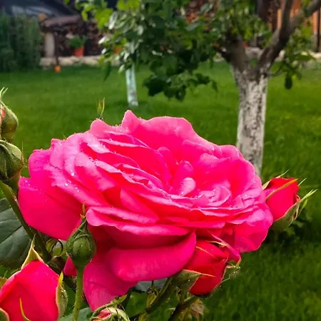 Infinity Boutique Appartement *