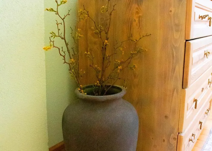 Infinity Boutique Апартаменты Банско