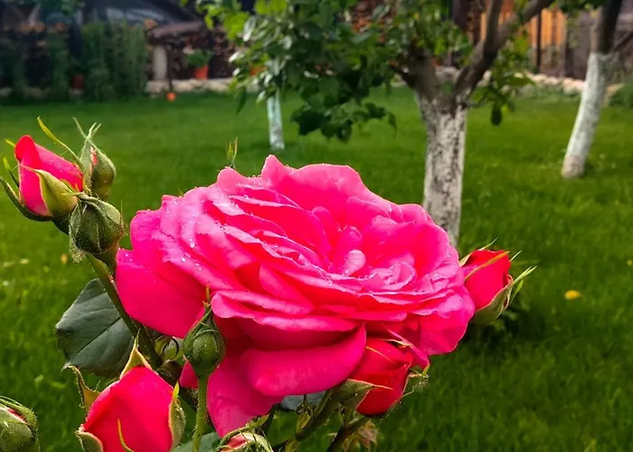 Infinity Boutique Апартаменты *